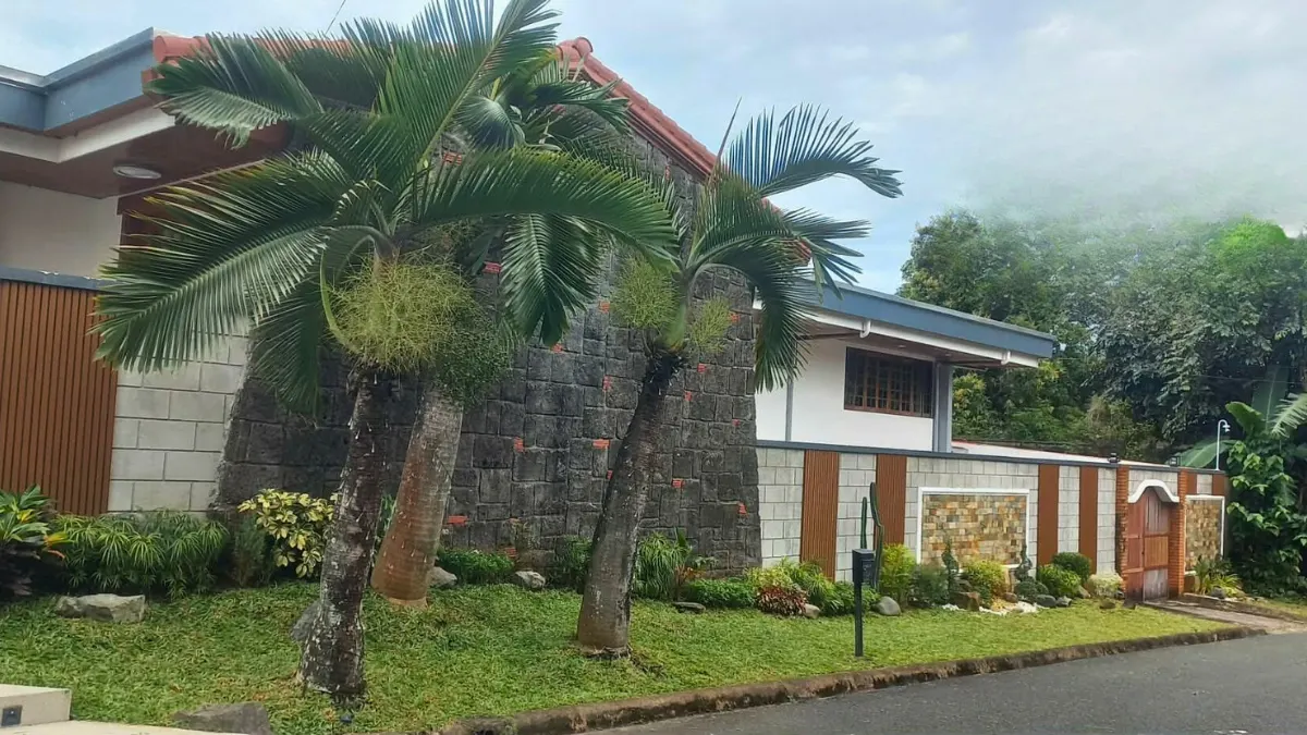 Subdivision landscaping with palms