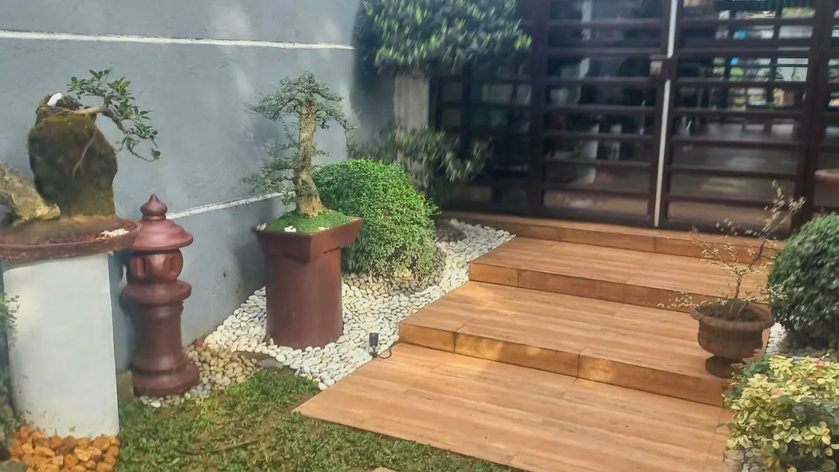 Bonsai and wooden deck garden